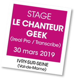 Stage le chanteur Geek mars 2019