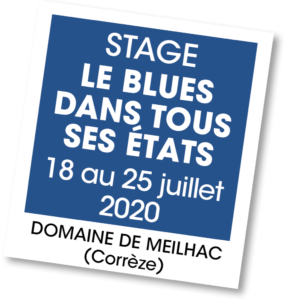 Stage Le Blues dans tous ses états - A vous de jouer