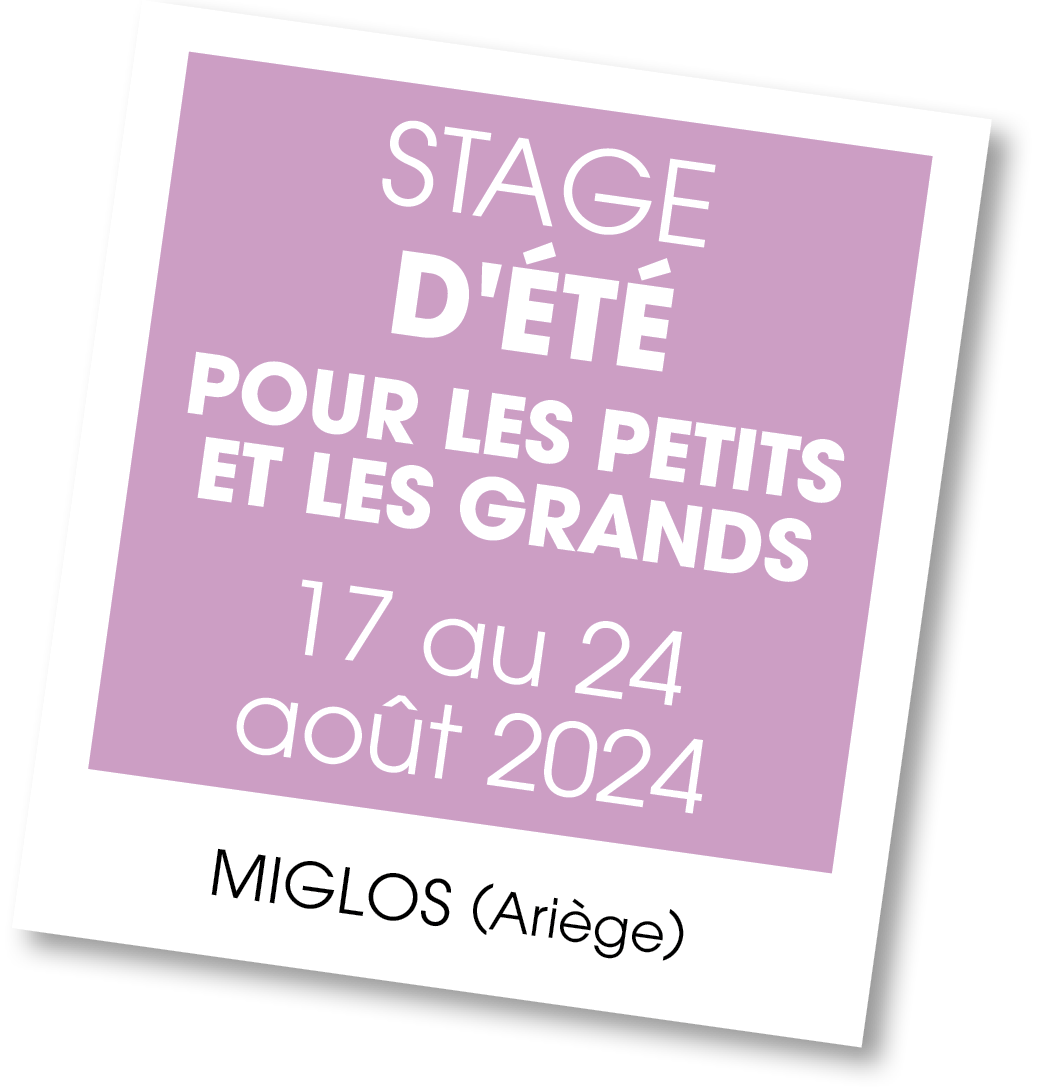 Lire la suite à propos de l’article 20240817 – Stage d’été pour petits et grands – août 2024