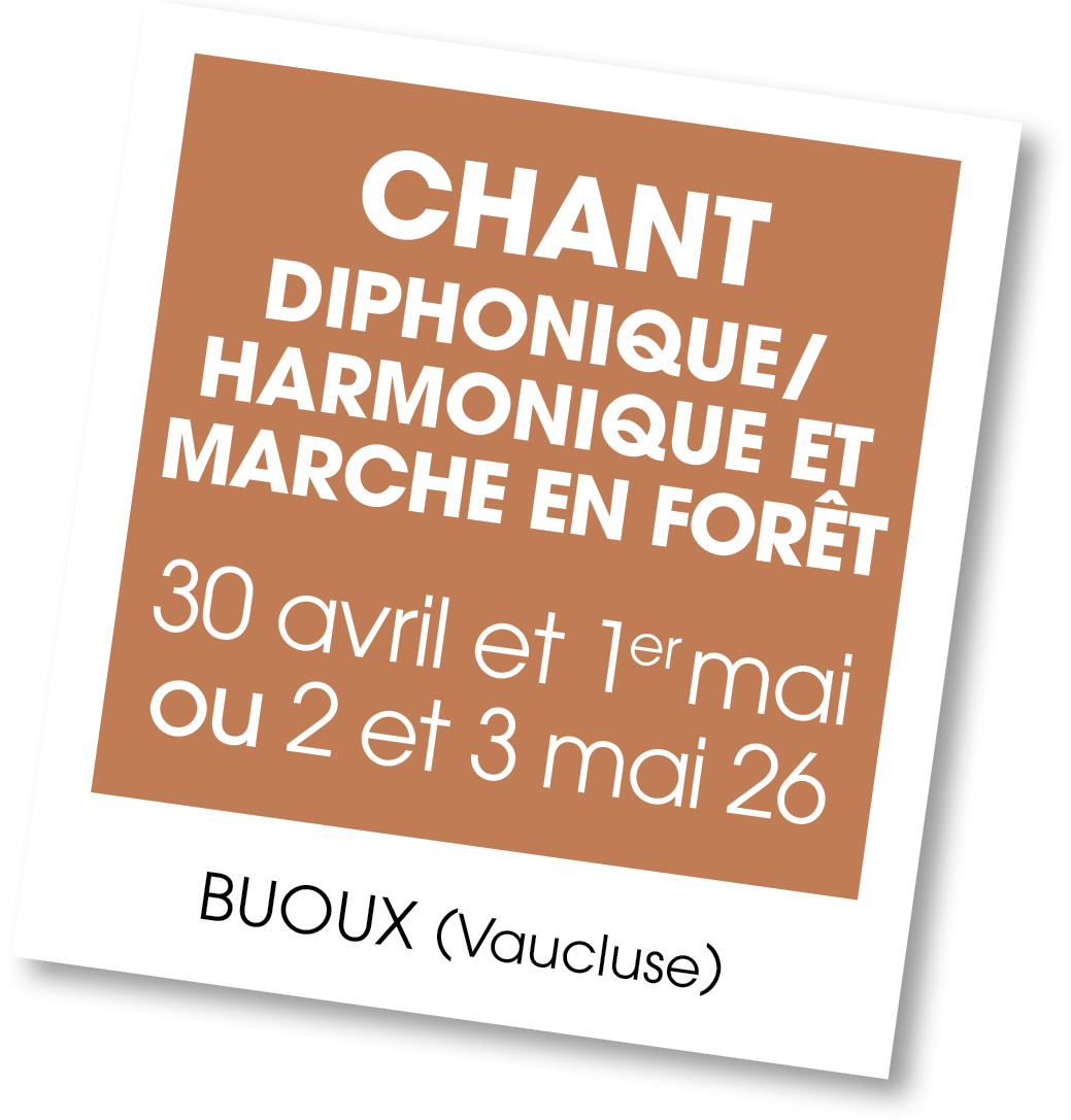 Lire la suite à propos de l’article 20260430 – Chant diphonique / harmonique et marche en forêt – avril 2026